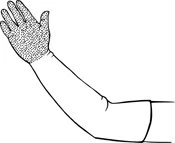 Lisle 21260 Arm Glove - Image 3