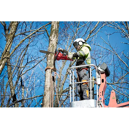 Milwaukee 2727-21HD M18 FUEL™ 16" Chainsaw Kit - Image 12